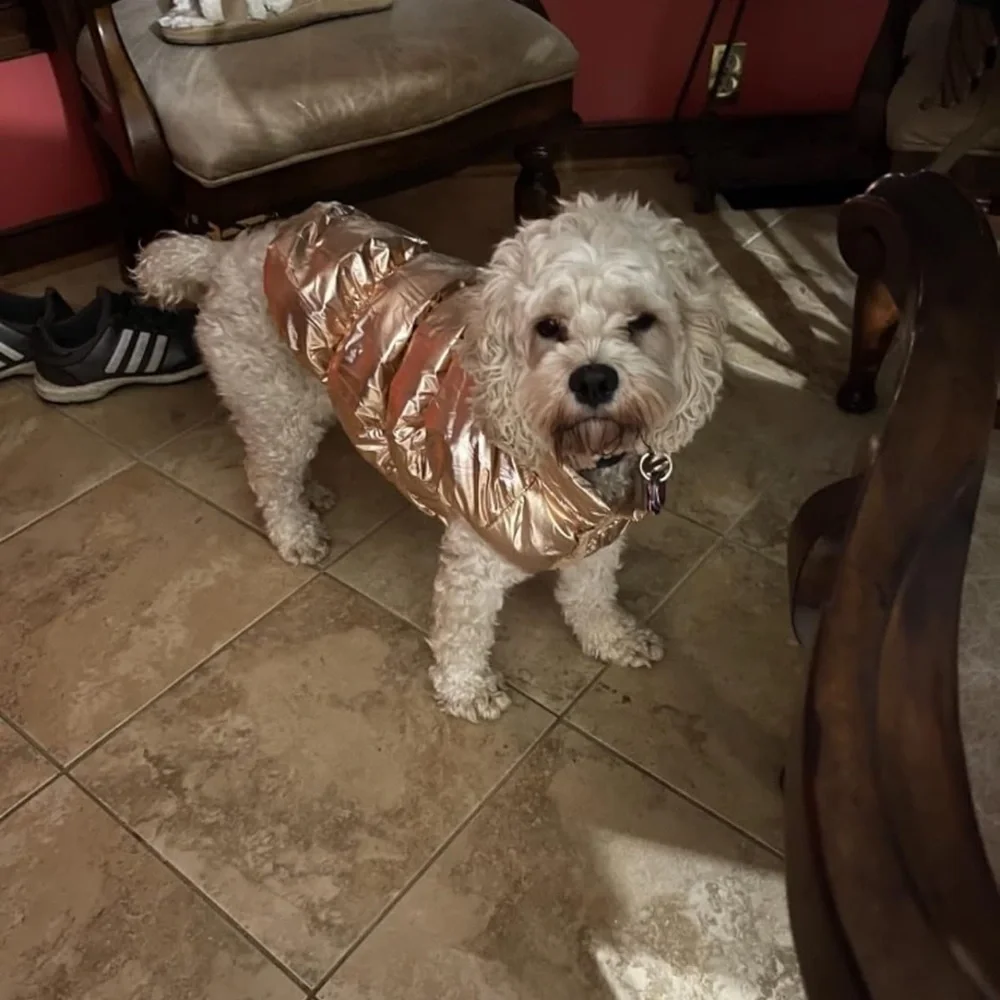Dog Winter Puffer Jacket Size M gold Warm Pet Coat Dog Clothes Cozy